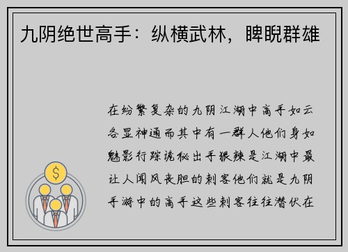 九阴绝世高手：纵横武林，睥睨群雄